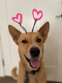 Fundraising Page Image