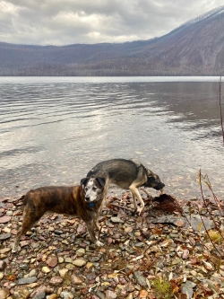 Fundraising Page Image